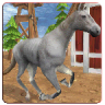 Horse Simulator 3D 鸿蒙版