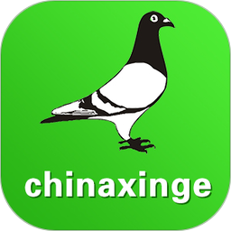 中信网-信鸽信息网2026官方新版图标