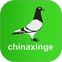 中信网-信鸽信息网2026官方新版图标