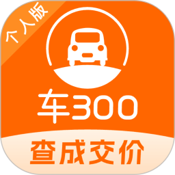 车300二手车2024官方新版图标