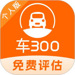 车300二手车2024官方新版图标