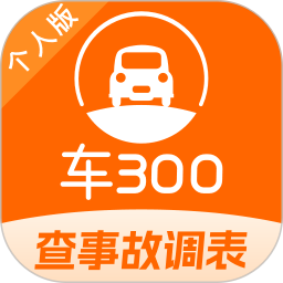 车300二手车2026官方新版图标