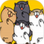 痒痒猫们鸿蒙版