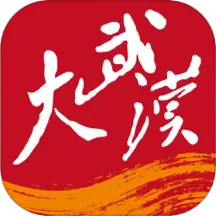 应用icon-大武汉2024官方新版