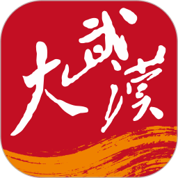 大武汉2026官方新版图标