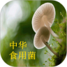 中华食用菌鸿蒙版