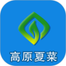 高原夏菜网鸿蒙版