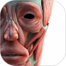 3D 人体模型鸿蒙版