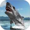 Great White Shark Survival 鸿蒙版