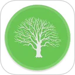 族记2026官方新版图标