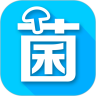 应用宝logo