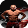 UFC 拼图鸿蒙版