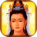 佛教观音菩萨 免费版安卓版