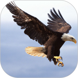 思归2025官方新版图标