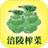 涪陵榨菜鸿蒙版
