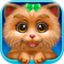 照顾新生小猫咪鸿蒙版