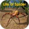 Life of Spider 鸿蒙版