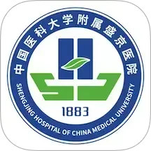 掌上盛京医院2025官方新版图标
