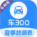 车300专业版安卓版(apk)