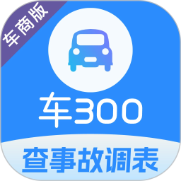 车300专业版2026官方新版图标