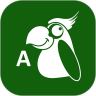 应用宝logo