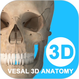 应用icon-维萨里3D解剖2024官方新版