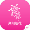 浏阳烟花鸿蒙版