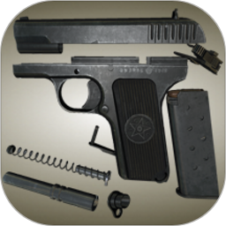 应用icon-真实武器AR2023官方新版