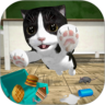 猫咪模拟器 – 和朋友们 Cat Simulator 鸿蒙版