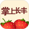 掌上长丰鸿蒙版