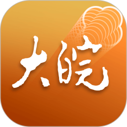 大皖Plus2026官方新版图标