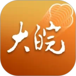 大皖Plus2026官方新版图标