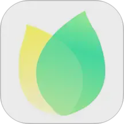 飞火动态壁纸2026官方新版图标