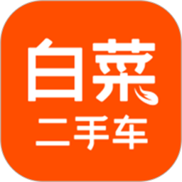 白菜二手车2025官方新版图标