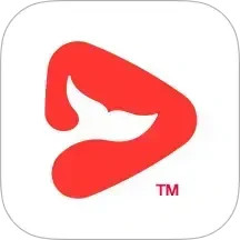 锦书在线2026官方新版图标