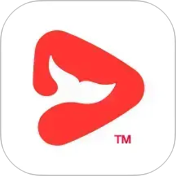 锦书在线2026官方新版图标