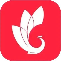 巅峰减重2025官方新版图标