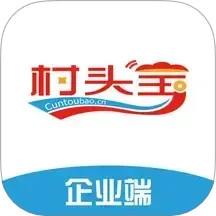 村头宝企业端2025官方新版图标