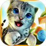 亲吻猫咪鸿蒙版