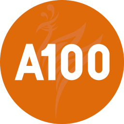应用icon-A100教学2024官方新版