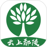 应用宝logo