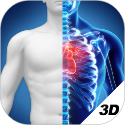 应用icon-3D人体解剖图谱2024官方新版