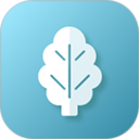 菠菜助手2025官方新版图标