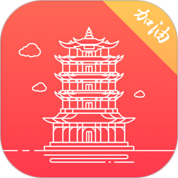 数字武汉2025官方新版图标