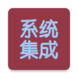系统集成项目管理2025官方新版图标