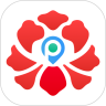 应用宝logo