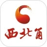 应用宝logo