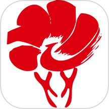 放新办2025官方新版图标