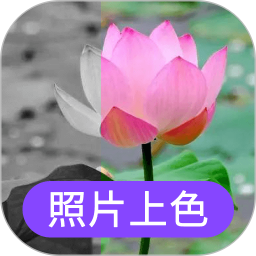 应用icon-照片上色2024官方新版