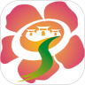 应用宝logo